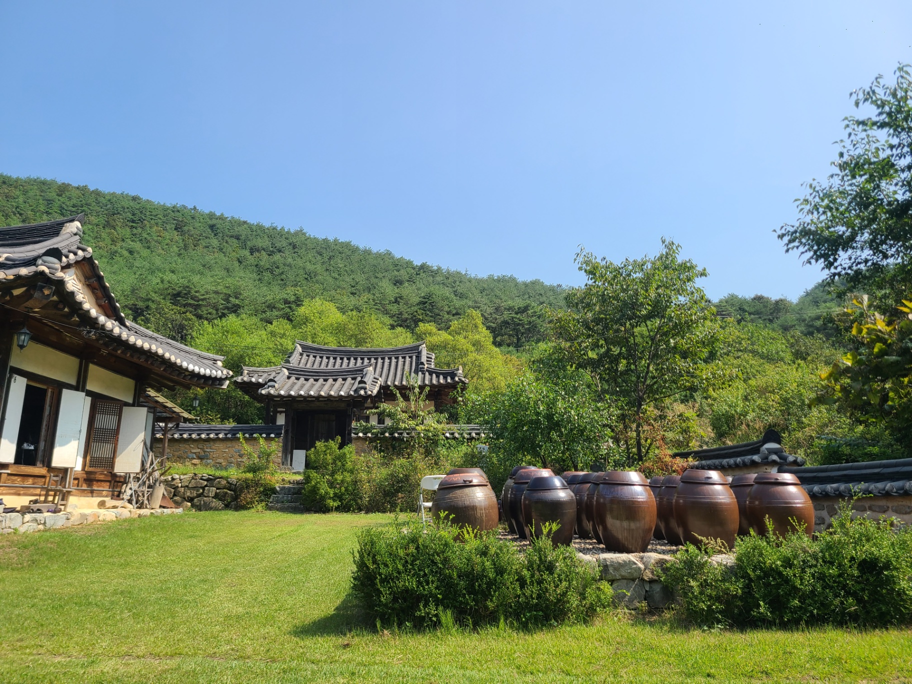 Traditional hanok house with onggi fermentation jars in Andong village