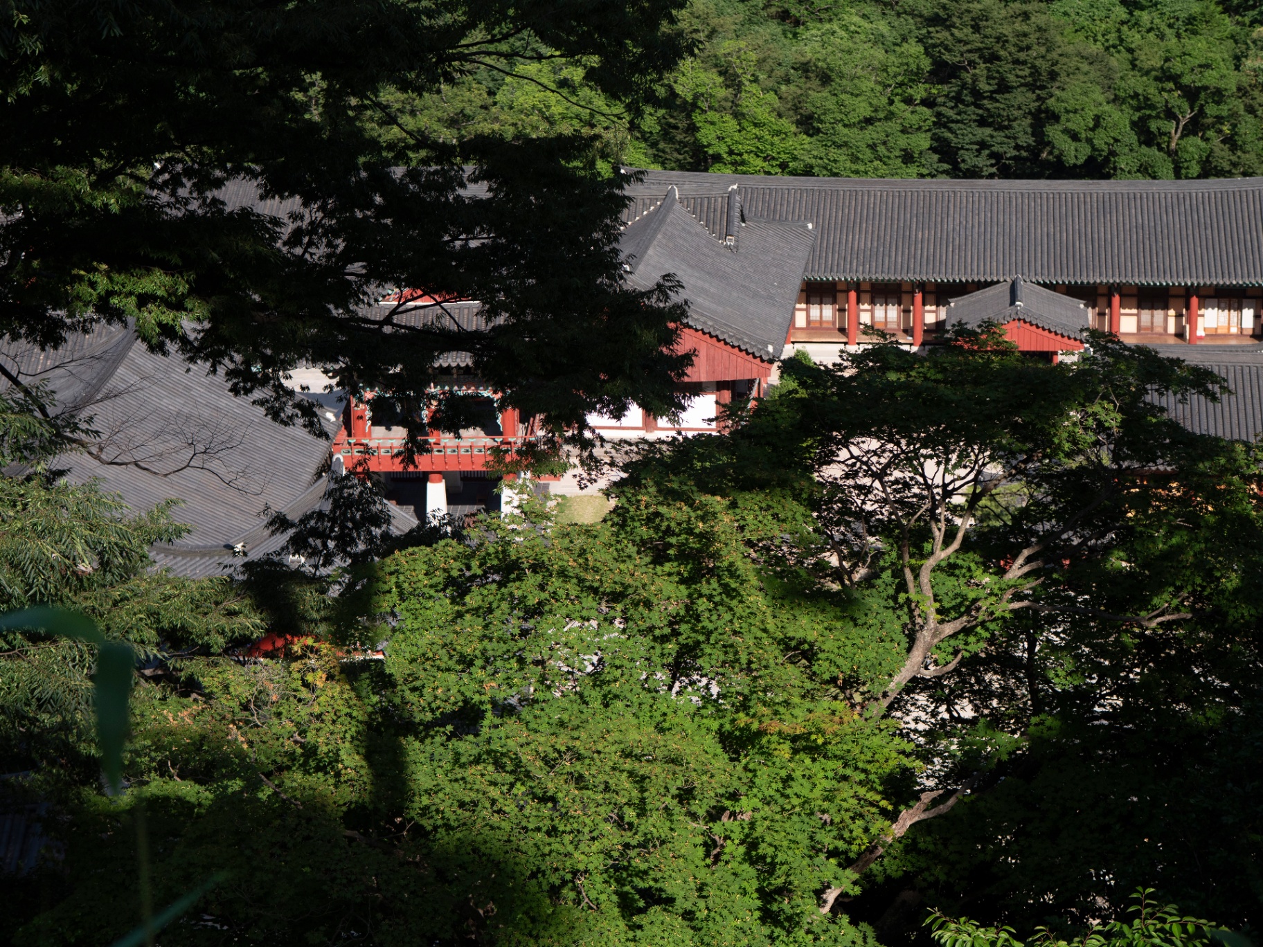 Aerial view of traditional Korean temple complex nestled among lush green mountains